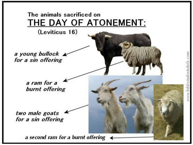Day of Atonement sacrifices