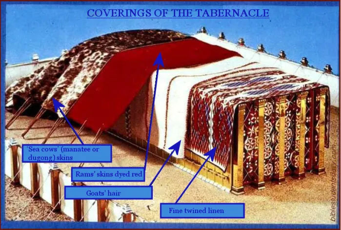Tabernacle coverings